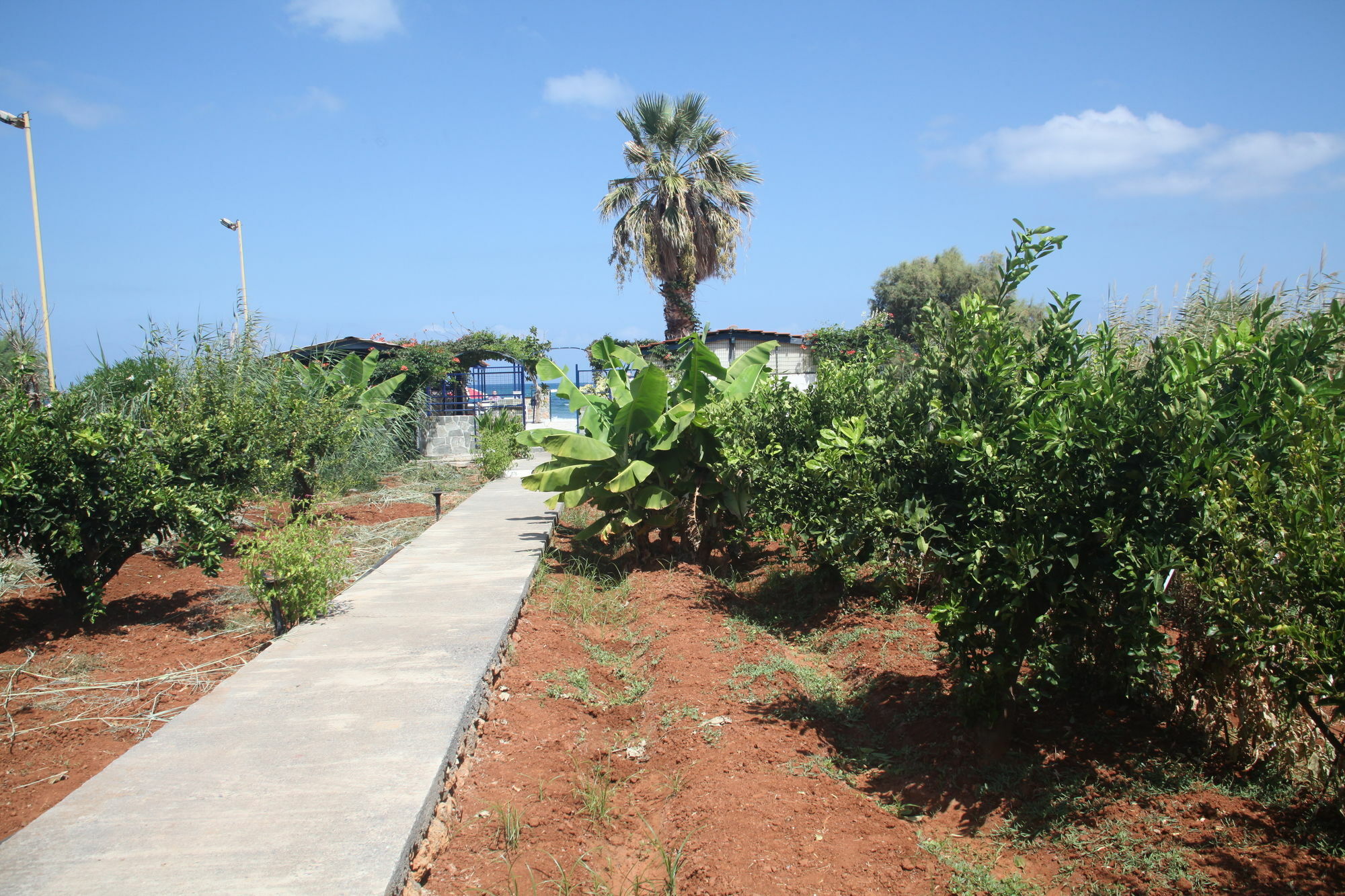 Panorama Hotel Apartments & Suites By Estia Stalida Exterior foto